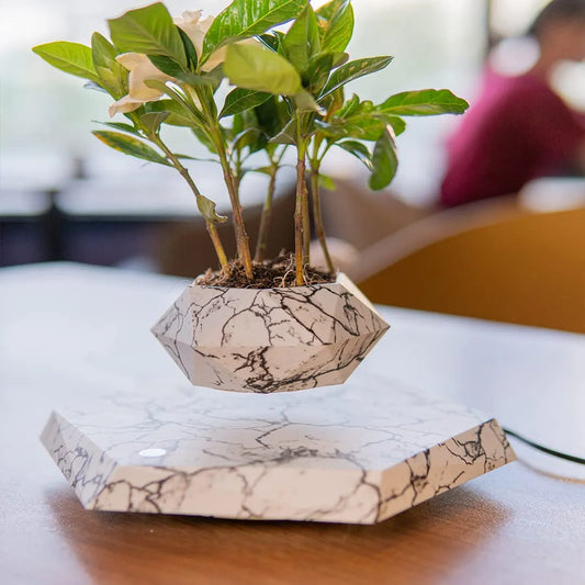 Levitating - Magnetic Floating Marble Pot